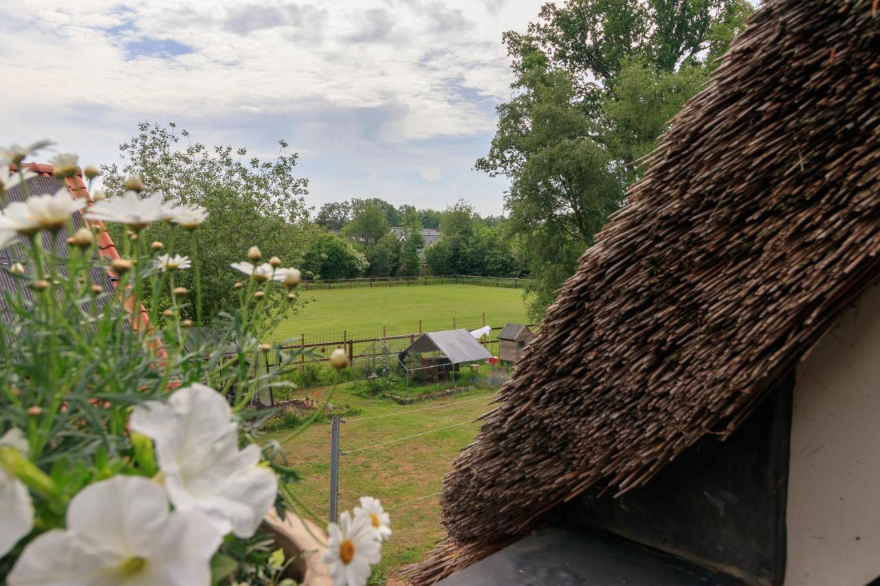 Het Grote Paard Apartment Havelte Bagian luar foto