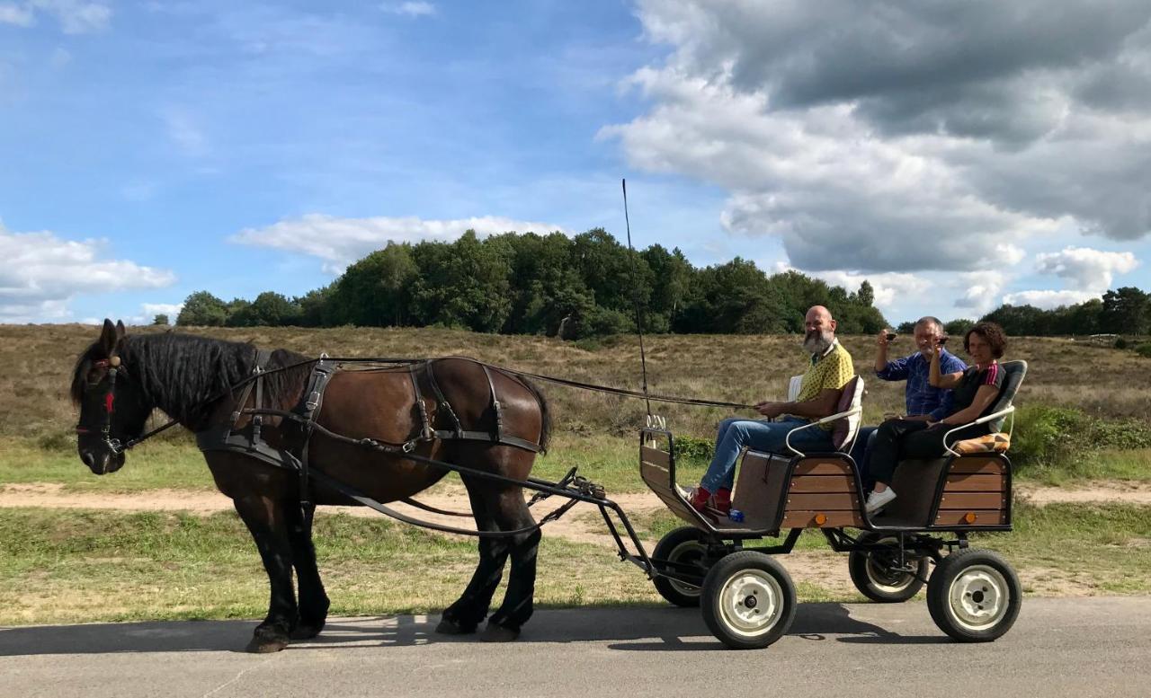 Het Grote Paard Apartment Havelte Bagian luar foto