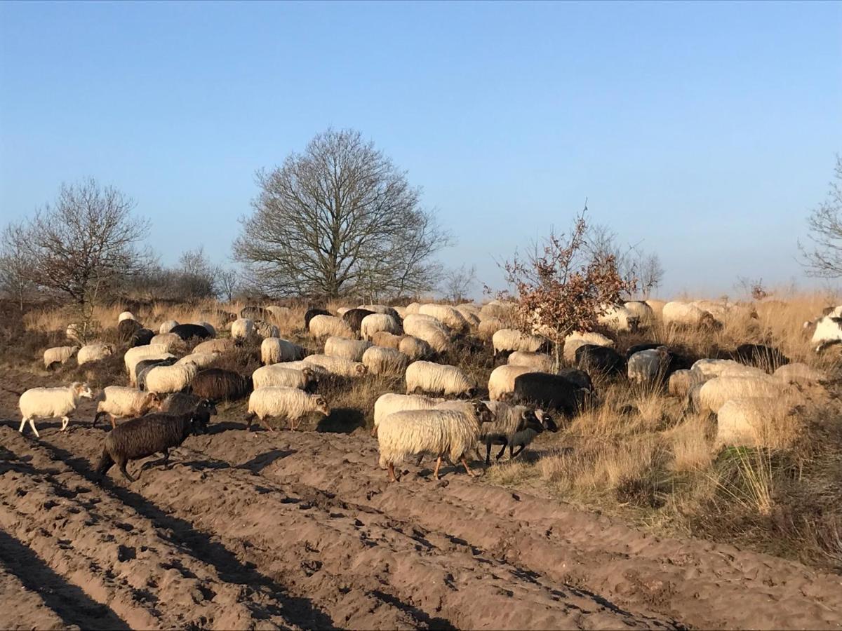 Het Grote Paard Apartment Havelte Bagian luar foto