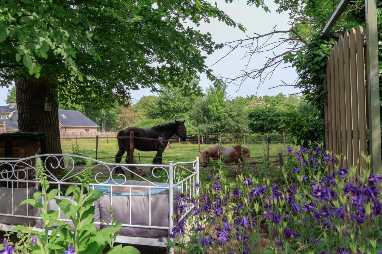 Het Grote Paard Apartment Havelte Bagian luar foto