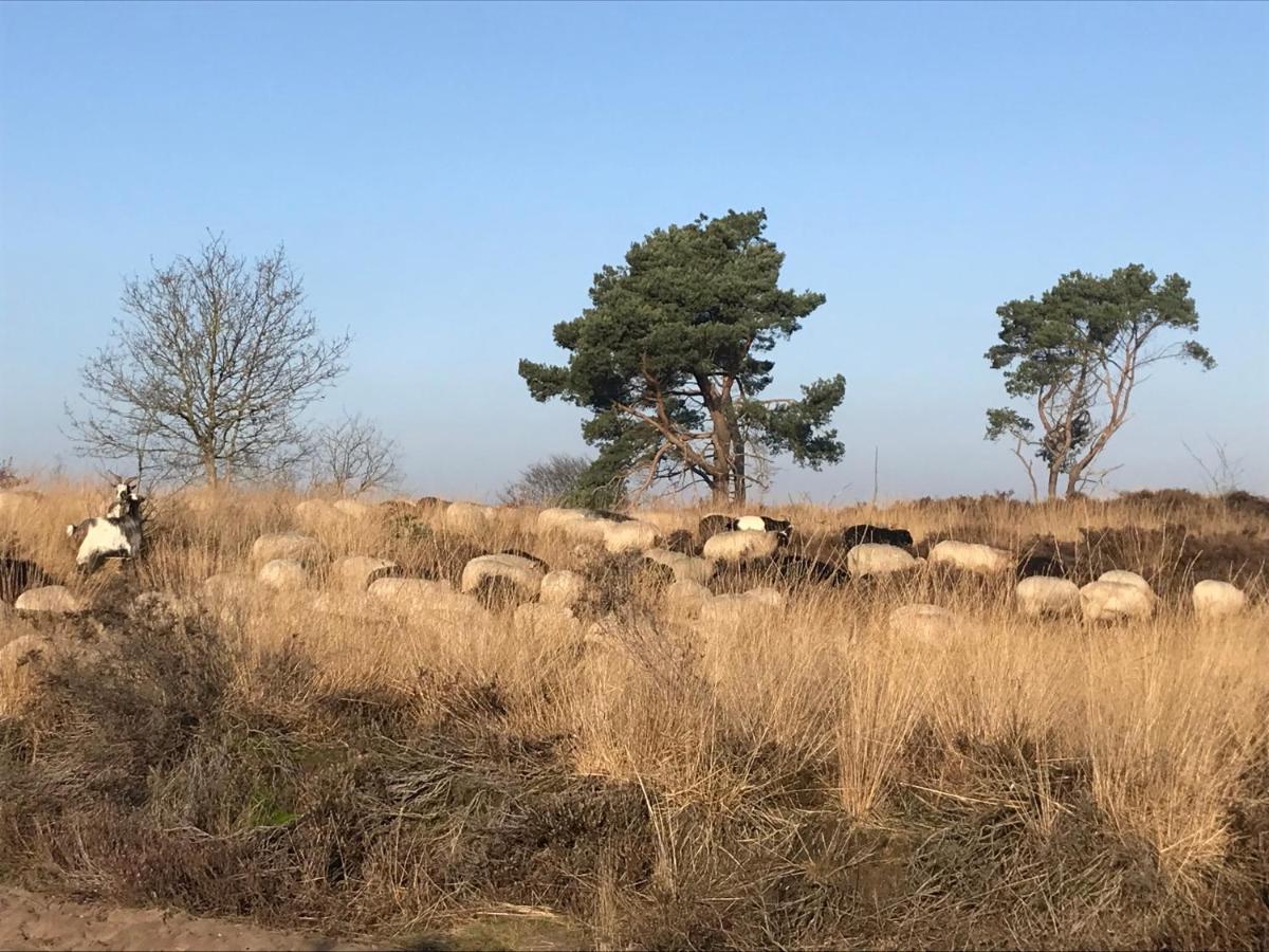 Het Grote Paard Apartment Havelte Bagian luar foto