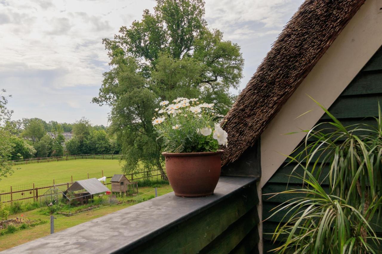 Het Grote Paard Apartment Havelte Bagian luar foto