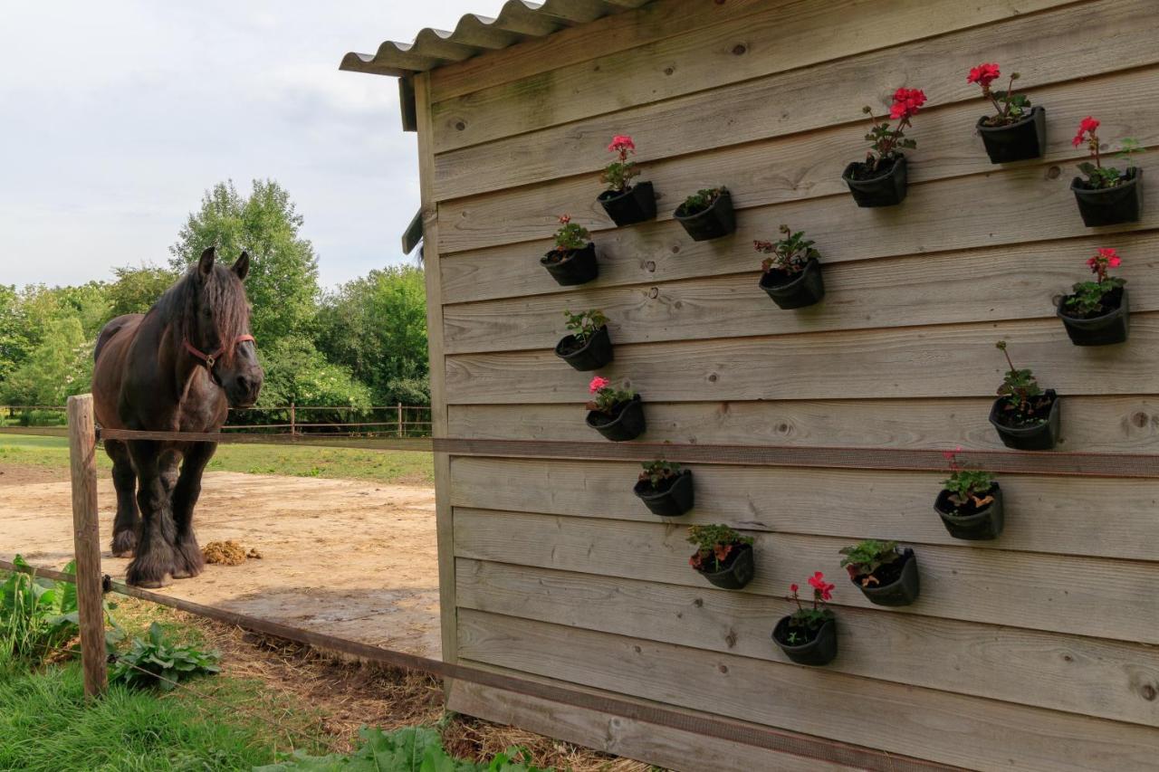 Het Grote Paard Apartment Havelte Bagian luar foto